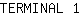 T***1