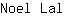 N***l