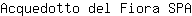 A***A