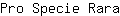 P***a