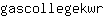 g***r