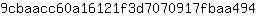 9***4