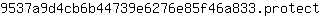 9***t