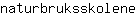 n***e