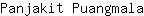 P***a