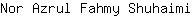 N***i