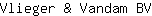 V***V
