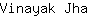 V***a