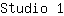 S***1
