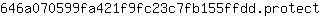 6***t