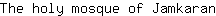 T***n