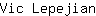 V***n