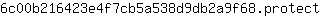 6***t