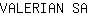 V***A