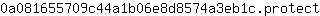 0***t
