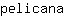 p***a