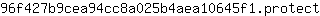 9***t