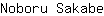 N***e