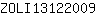 Z***9