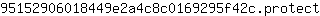 9***t
