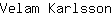 V***n