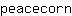 p***n