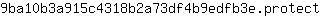 9***t