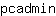 p***n