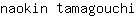 n***i