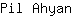 P***n