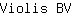 V***V