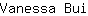 V***i
