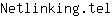 N***l