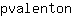 p***n
