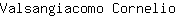V***o