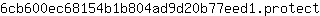6***t