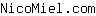 N***m