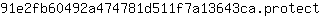 9***t