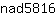 n***6