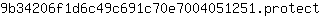 9***t