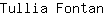 T***n
