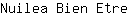 N***e