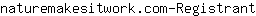 n***t
