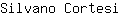 S***i