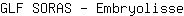 G***e