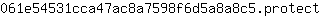0***t