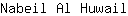 N***l