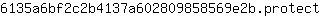 6***t