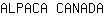 A***A