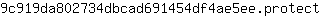 9***t